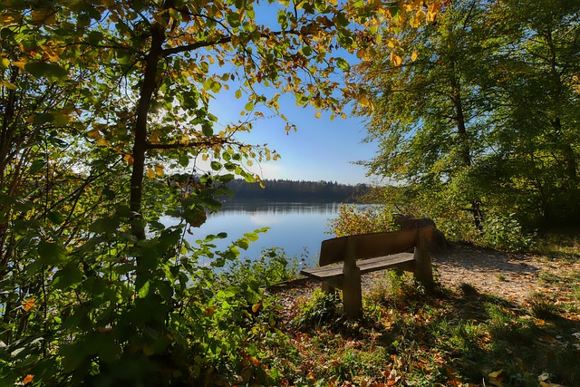 创造机会 创造机会