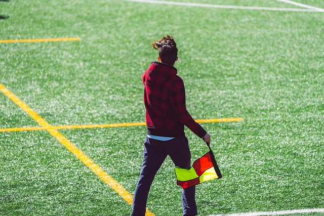 他国家提高 他国家提高