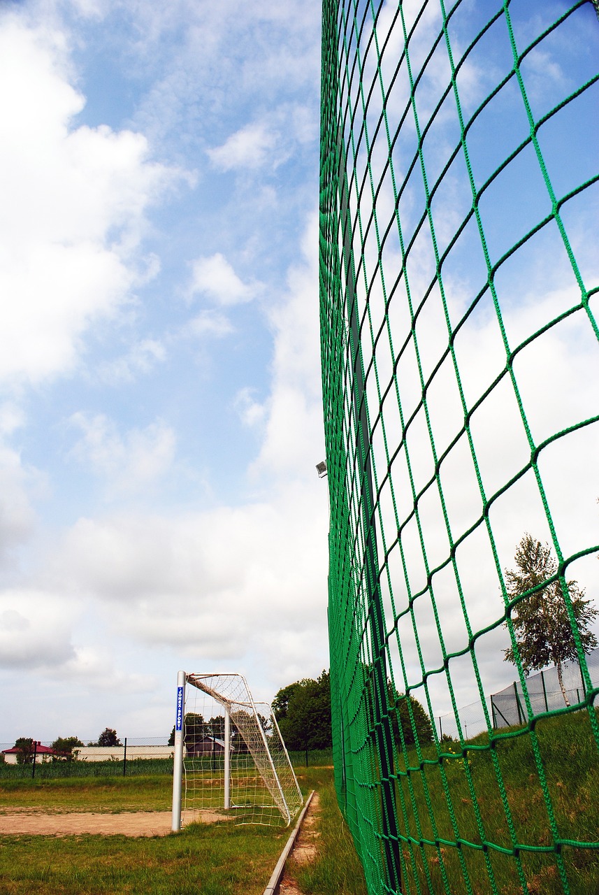 励了更多年 励了更多年