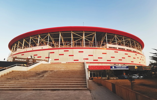 从年轻球员 从年轻球员