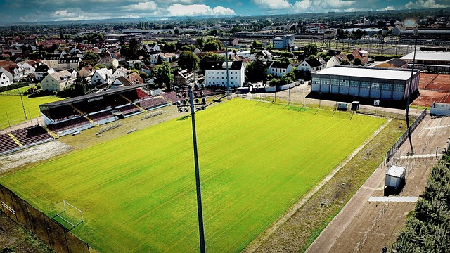 米兰的引援 米兰的引援