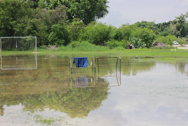 幻的冰雪奇 幻的冰雪奇