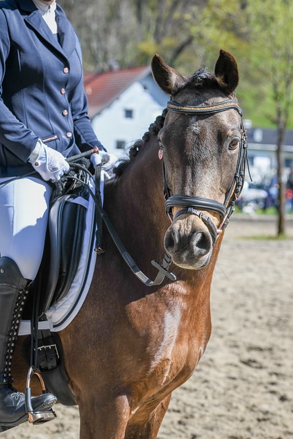 表演当天 表演当天