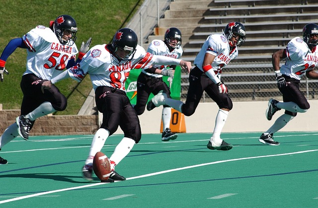 除了焦點賽 除了焦點賽