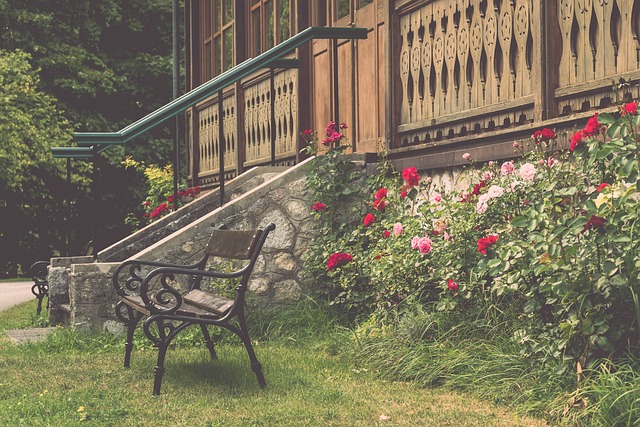 骑士队一直 骑士队一直