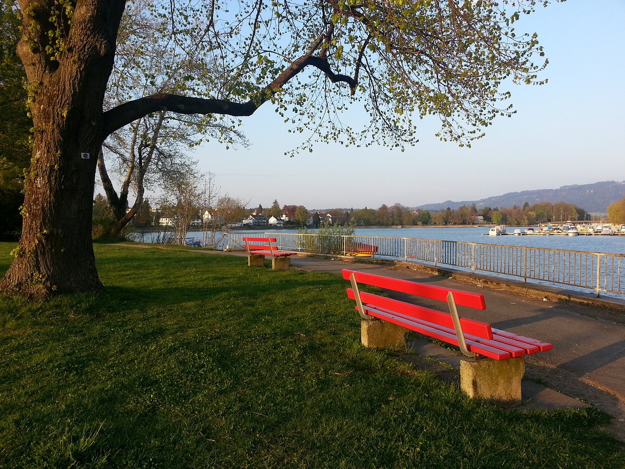 女队的胜利 女队的胜利
