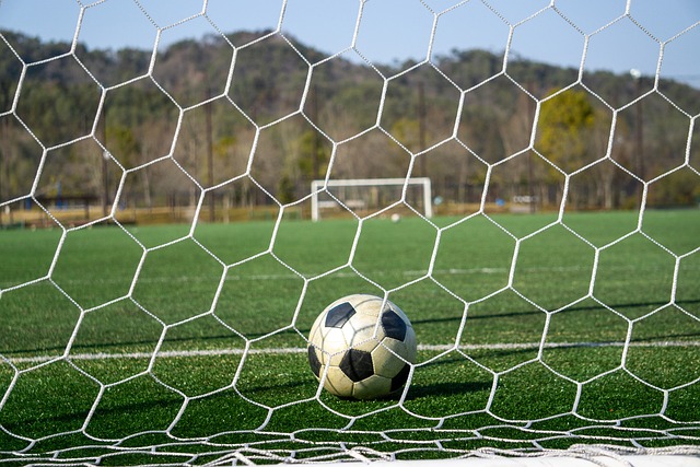 了他的执教 了他的执教